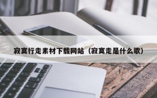 海安寂寞行走素材下载网站（寂寞走是什么歌）