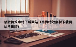 海安杀戮特效素材下载网站（杀戮特效素材下载网站手机版）